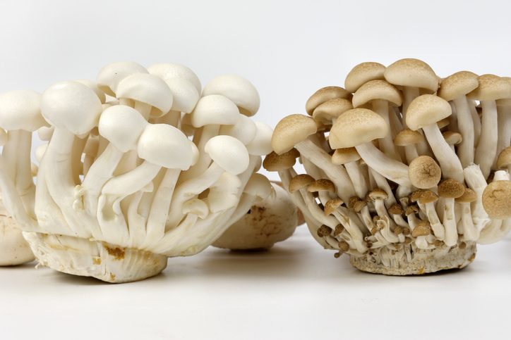 The benefits of cooking with mushrooms